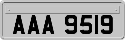 AAA9519