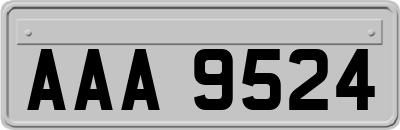 AAA9524