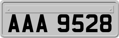 AAA9528