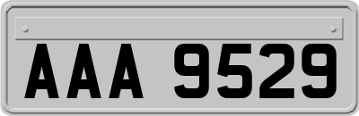 AAA9529