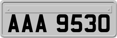 AAA9530