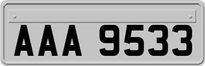 AAA9533