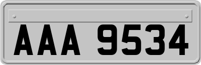 AAA9534