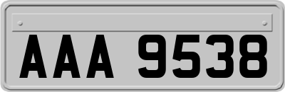 AAA9538