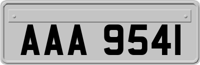 AAA9541