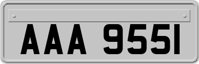 AAA9551