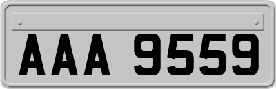 AAA9559