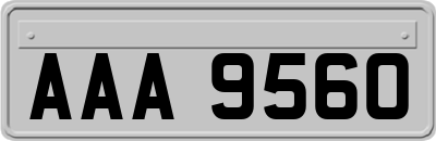 AAA9560