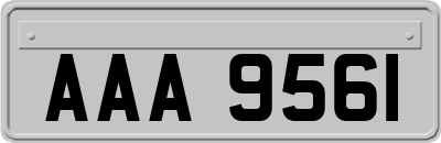 AAA9561