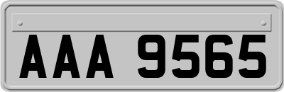 AAA9565