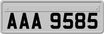 AAA9585