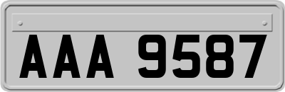 AAA9587