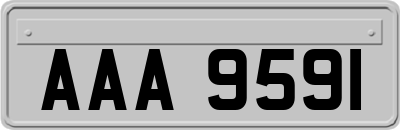 AAA9591