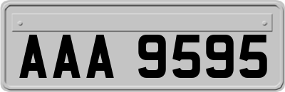 AAA9595