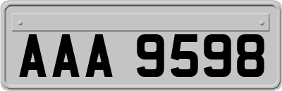 AAA9598