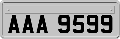 AAA9599