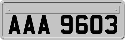 AAA9603