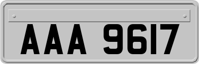 AAA9617