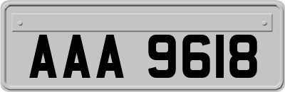 AAA9618