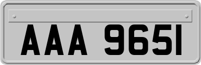 AAA9651