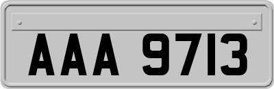 AAA9713