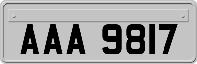 AAA9817