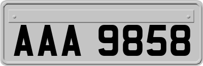 AAA9858