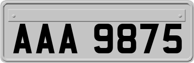 AAA9875