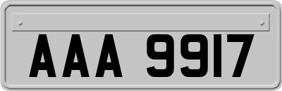 AAA9917