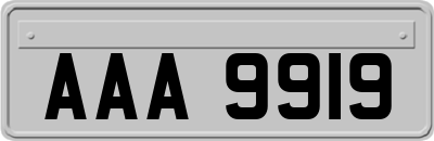 AAA9919