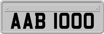 AAB1000