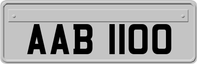 AAB1100