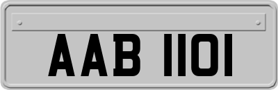 AAB1101