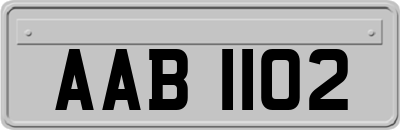 AAB1102