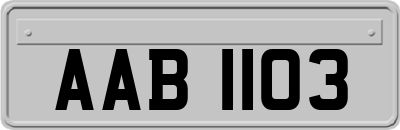 AAB1103