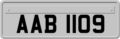 AAB1109