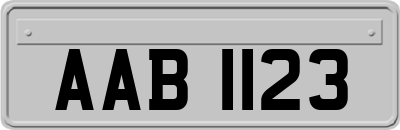 AAB1123