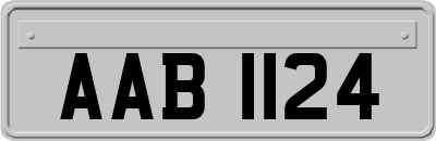 AAB1124