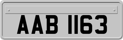 AAB1163