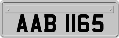 AAB1165