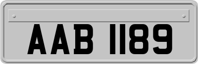 AAB1189