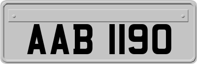 AAB1190