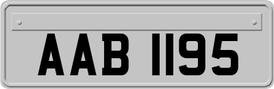 AAB1195