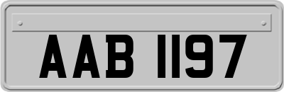 AAB1197