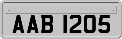 AAB1205