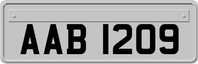 AAB1209