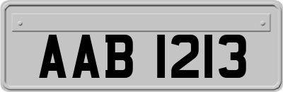 AAB1213