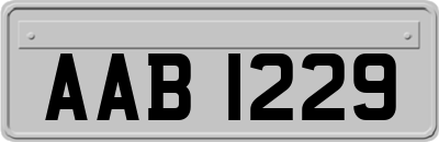 AAB1229