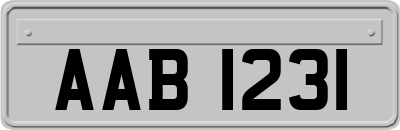 AAB1231