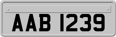 AAB1239